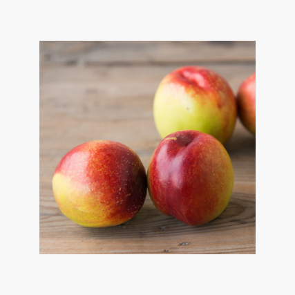 Fresh Peaches & nectarines Grade A Type PEACH Style Fresh Weight (kg) 18 Variety Nectarine Brand Name Custom Shelf Life 1 - Image 5
