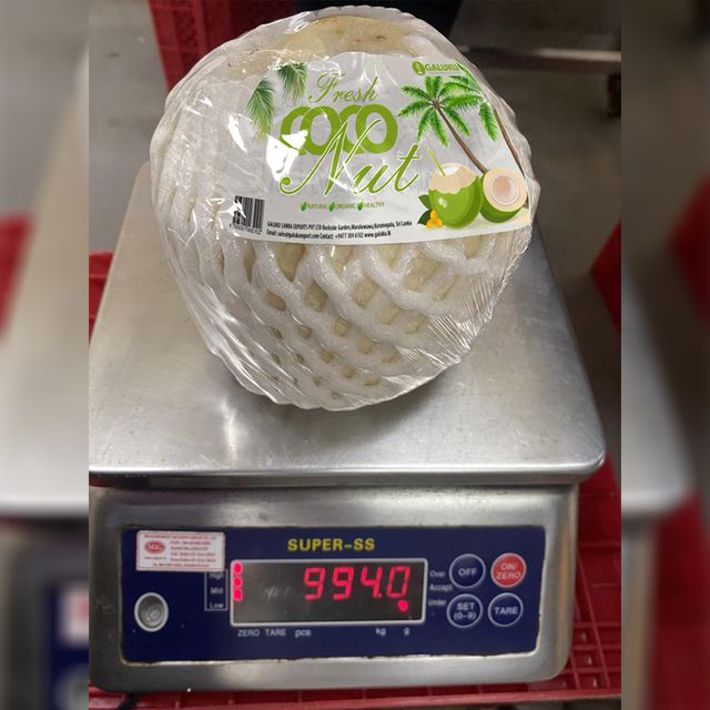 Young Coconut Fresh Sri Lankan Natural Fresh coconut quality variety 9 pieces box Organic Pulp - Image 4