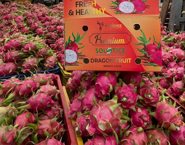 Vibrant Freshness Dragon Fruit Exotic Flavor Premium Quality Dragon Fruit 10kg Box Sale - Image 4
