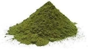 Dehydrated Fenugreek Leaves Powder – Premium Quality - Image 3