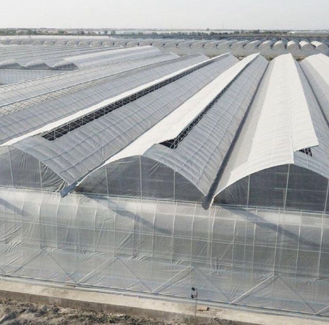 Greenhouse Plastic Film | UV Stabilized Agricultural Greenhouse Covering - Image 4