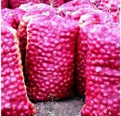 Ugandan Fresh Red Onions - Image 3