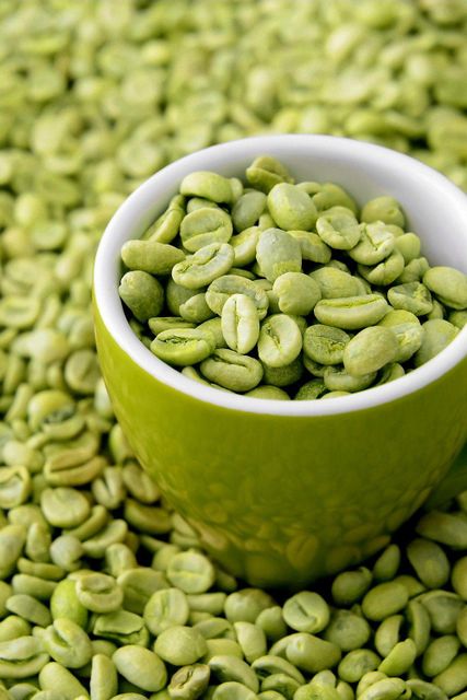 Premium Arabica & Robusta Green Coffee Beans – Wholesale Bulk Supply – product photo 4, product detail gallery