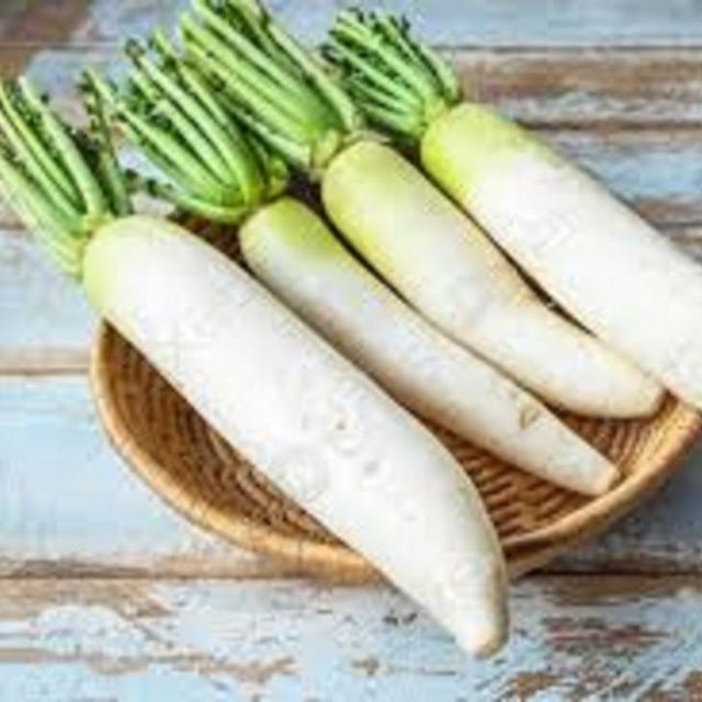 Fresh Radish Style Fresh Type Radish Taste Delicious Brand Name Primex Color Natural White Model Number Pmx2020 Place of Origin - Image 1