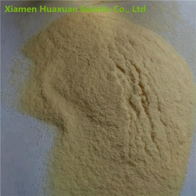 yeast peptone peptone casein trade Brand Name Huaxuan Place of Origin Fujian, China Model Number Industrial collagen - Image 4