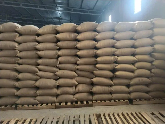Vietnamese Arabica G3 – Green Beans (Origins: Son La, Quang Tri, Lam Dong) - Image 3