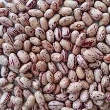 SPECKLED RED BROWN SUGAR BEANS - BULK PREMIUM GRADE - Image 1