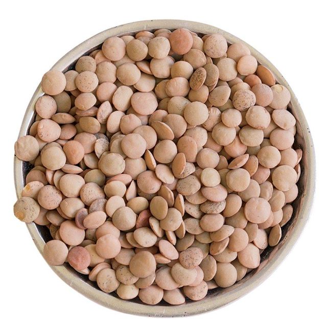Premium Brown Lentils With High Quality Brown Lentils Offering Superior Taste And Rich Protein Content For Bulk Buyers - Image 2