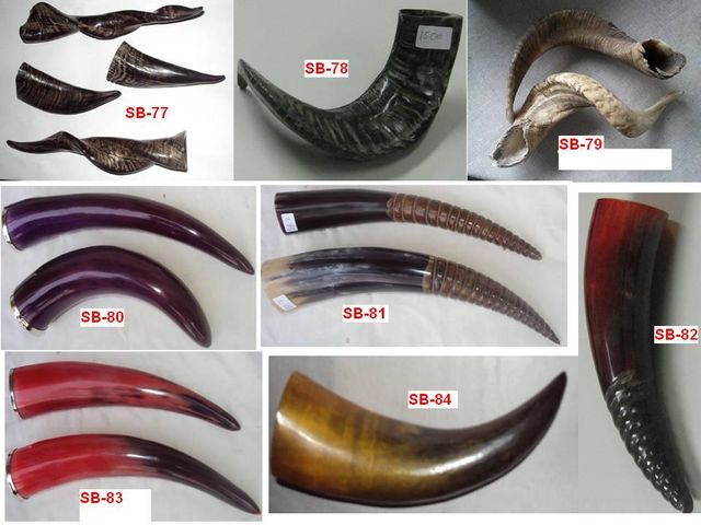 Cow Horn Drinking Horn - Image 2