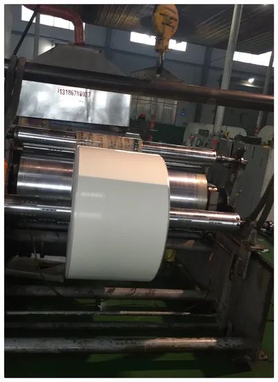 PLA PE Coated Paper Roll for Food Packaging Origin China Pulp Style Virgin Trademark Sunrise Model NO. 150g-400g Pulp Material Wood - Image 5