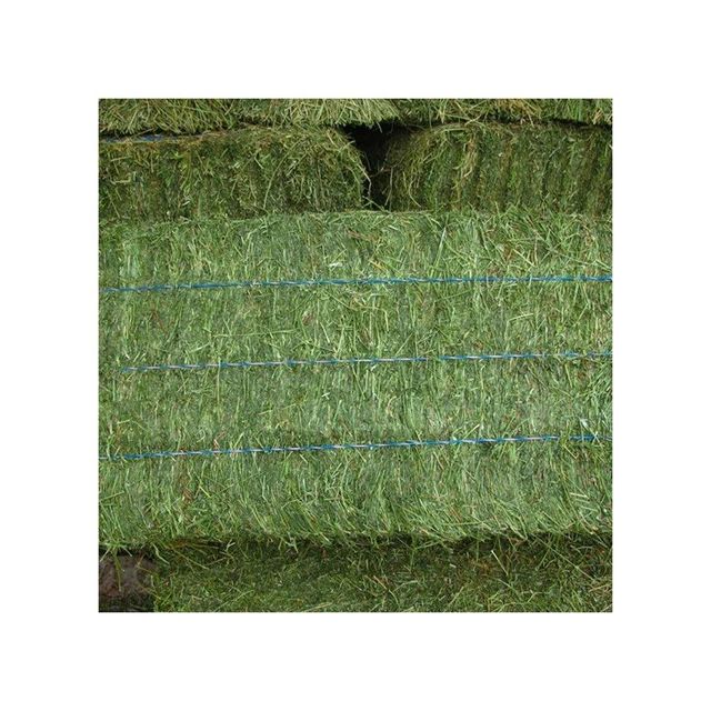 American Alfalfa Lucerne Hay for Animal Feed Cattle Horse Cow Chicken - Image 4