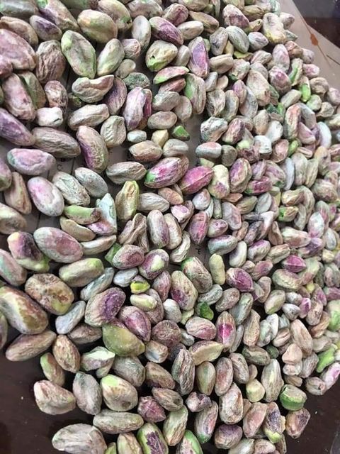 Wholesale Organic Natural Dried Pistachios Nuts for Snack Food - Image 4