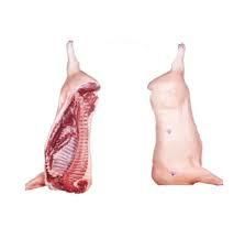 Premium Frozen Pork - Image 2