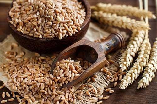 High Quality Wholesale Supplier Organic Whole Wheat Grain for Sale in Reasonable Price - Image 1