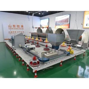 Automatic Equipment Chicken Poultry Farming Pan Feed Line System - Image 3