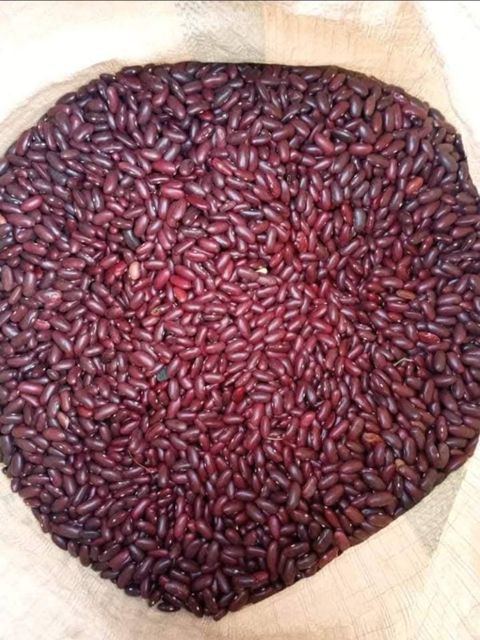 Red Speckled Kidney Beans - Image 2