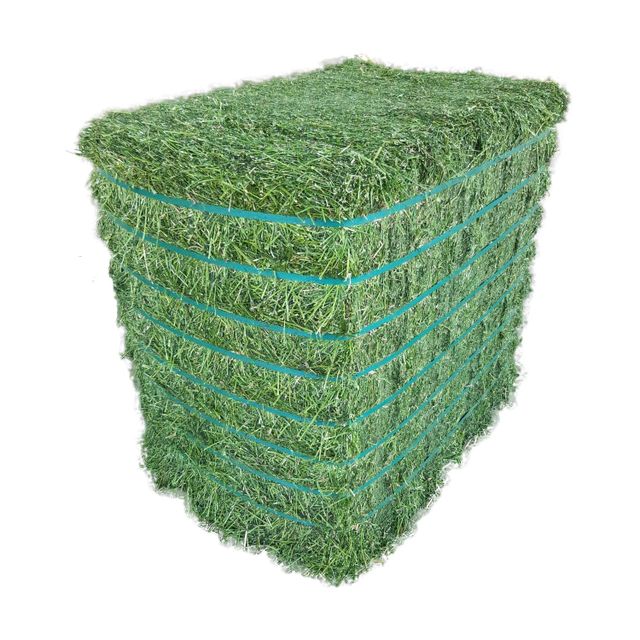 Premium Timothy Grass for Animal Feed Fresh Bulk Delivery Timothy Grass with High Nutrition for Healthy Livestock Growth - Image 5