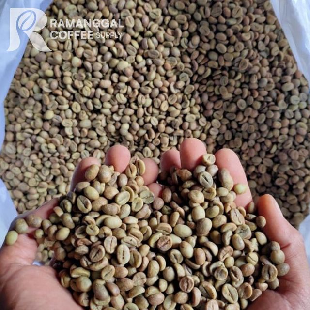 Indonesia Java Temanggung Robusta Grade 1 Green Coffee Beans - Image 3