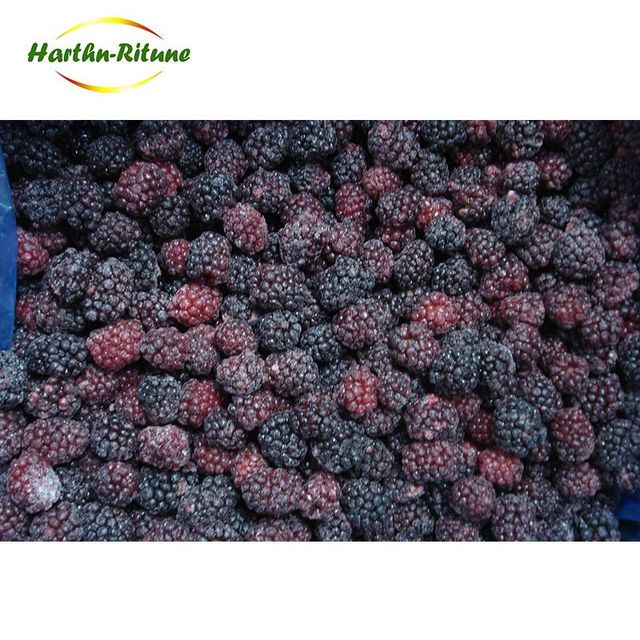 Good price Bulk IQF berries frozen blackberry fruits Content no Address no Style FROZEN Weight (kg) 10 Ingredients no Taste - Image 2