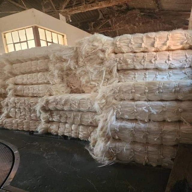 Cheap Sales Of Quality Sisal Fibre Sisal Hemp Natural UG 100% Natural Sisal Fiber bulk price / High quality sisal fiber Grade Sisal Fiber for sell at cheap prices - Image 4