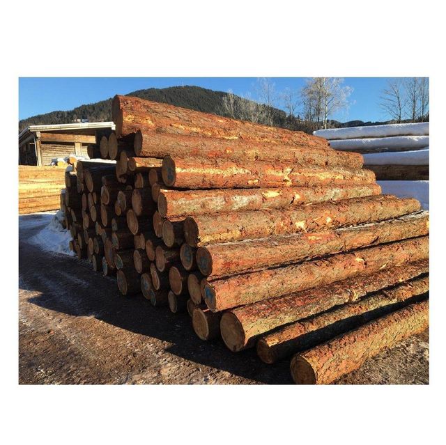 Durable Larch Sawn Logs / Timbers For Sale At Cheap Price - Image 3