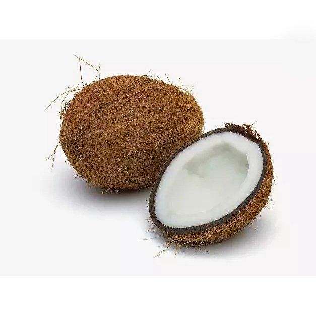 Premium standard fresh coconut positioned for consistent bulk purchasing - Image 3