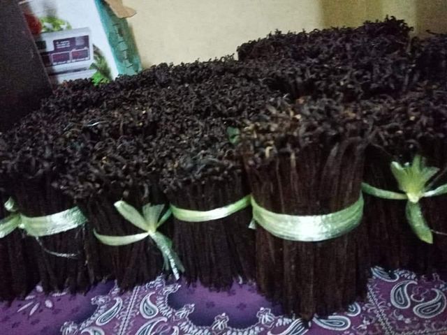 Vanilla Beans 16-19mm in Stock Low Price Best Selling Pure Quality Vanilla Ready for Export Wholesale for Sale - Image 5