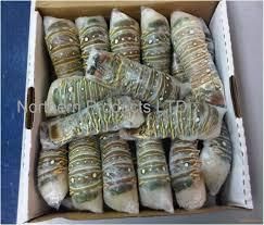 High-quality Frozen Lobsters Grade Aa Size 41/50 Certification Haccp Certified Storage Temperature –14°c Or Below Custom Packaging Available - Image 2