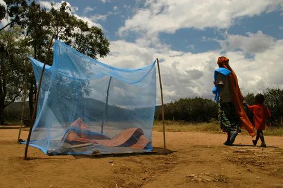 Insecticide Treated Bed Net Mosquito Net with Light Blue & Olive Green Color - Image 5
