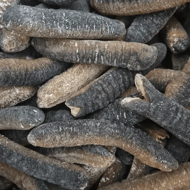 High Quality Pure Black Color Dried Sea Cucumbers Vacuum Pack 24 Months Shelf Life Wholesale Price - Image 3