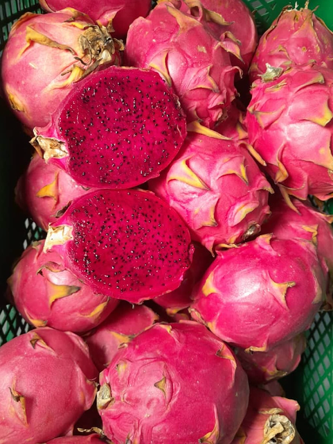 Premium Fresh Produce – Premium Dragon Fruit 9kg Export Box On Sale - Image 5
