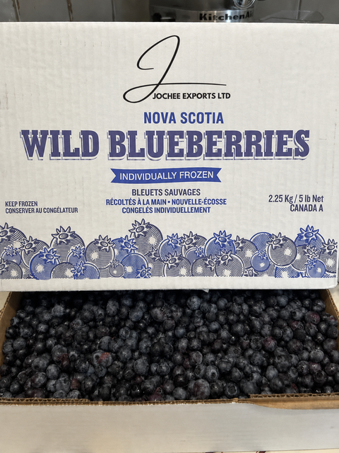 Canadian IQF Wild Blueberry - Image 1