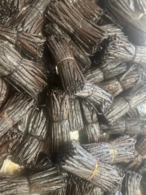 2026 Vanilla Beans - Image 3