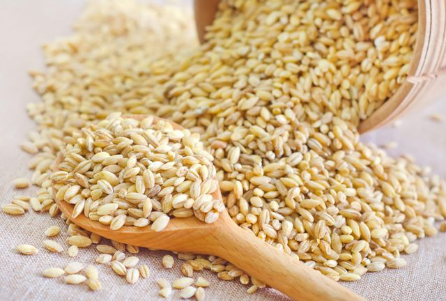Wholesale Price Milling Wheat for Food Manufacturers Seeking Quality Grain for Flour Production - Image 2