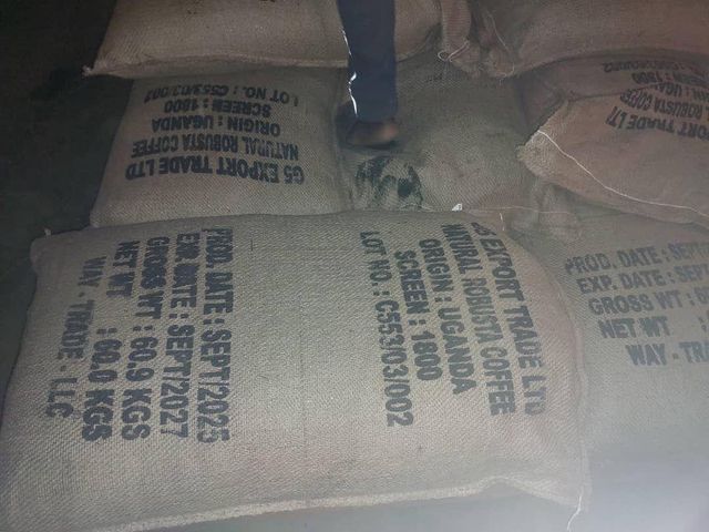 ROBUSTA COFFEE BEANS – product photo 1, product detail gallery
