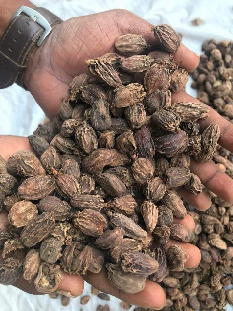 cardamom - Image 3