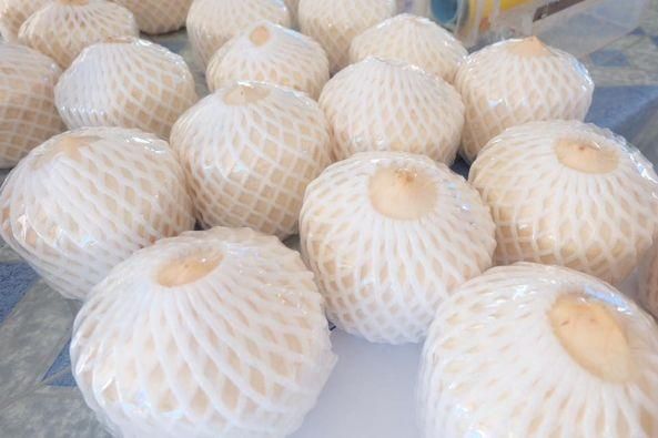 Fresh Young Coconut Natural Premium Quality from Thailand for 100% Export Diamond Shape - Image 3