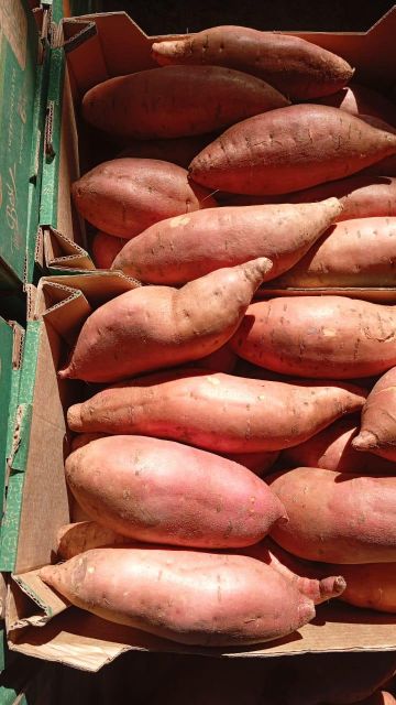 Sweet potatoes - Image 3