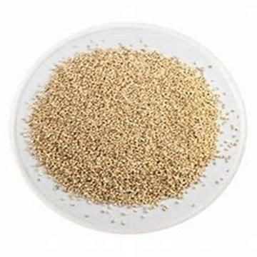 Animal Feed Corn frozenchickenexports.com - Image 5