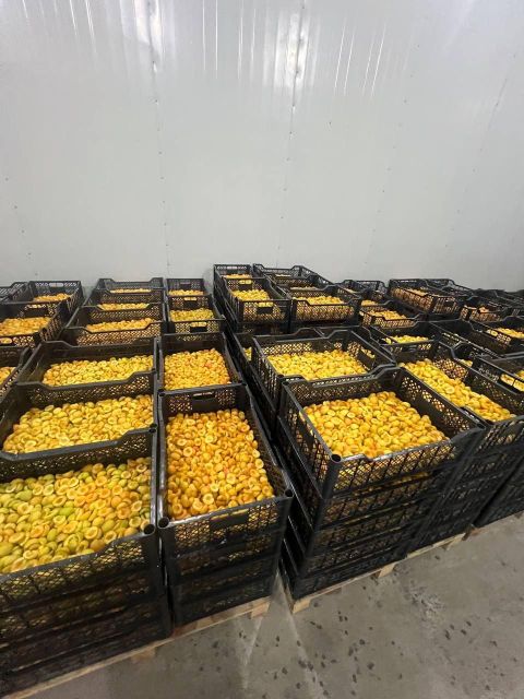 IQF FROZEN APRICOT HALF SIZE Form Halved Packaging PAPER BOX Flavor Profile Natural Sweetness Harvest Condition At Peak Ripeness - Image 1