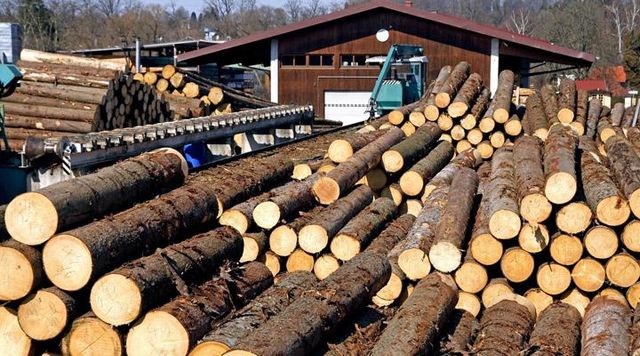SPRUCE LOGS Grade AA Species Spruce Logs Minimum Trial Volume 450m3 Max. Moisture (%) FRESH CUT Average Container Load Volume 3.000m3 - Image 1