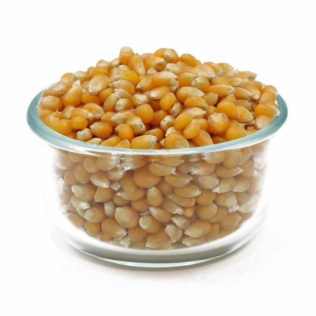 Premium Export Quality Yellow Kernel White/Yellow Maize For Global Importers With Bulk Packed Grain Supply - Image 4