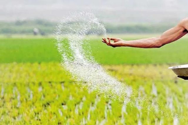 Urea 46% Nitrogen Fertilizer 46-0-0 Prilled and Granular High Nitrogen Content - Image 4