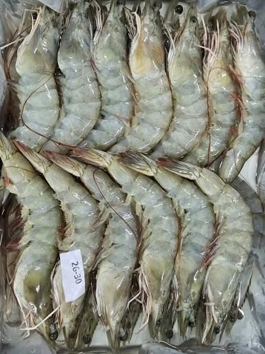Squid, shrimp, cuttlefish, baby octopus, meat slipper lobster - Image 2