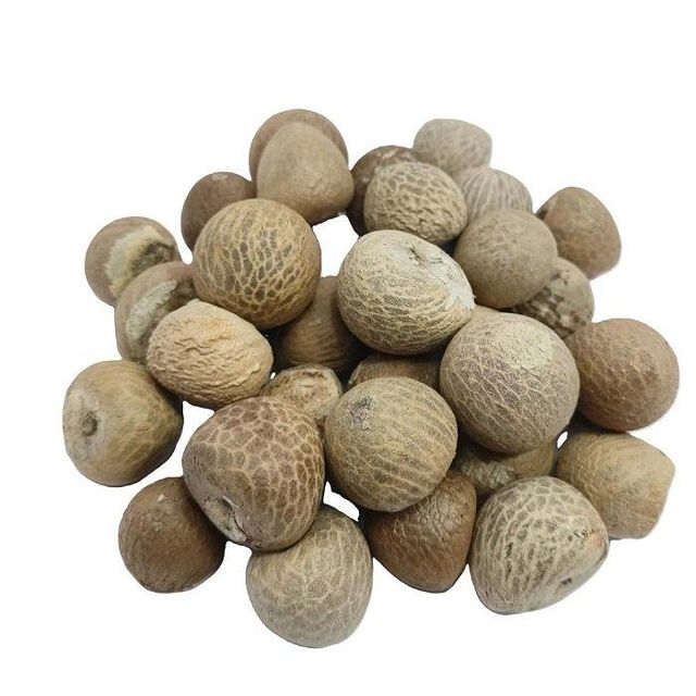 Premium Quality Betel Nuts Dried Areca Seed in Bulk Supply for Raw Processing Export Standard - Image 3