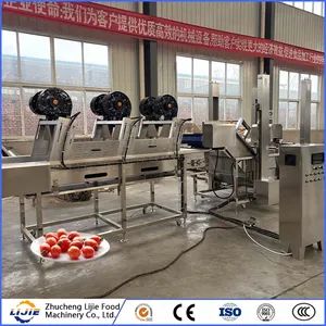 Hot Sale Automatic Factory Price OEM Customized Washing Cleaning Machine for Tomato - Image 2