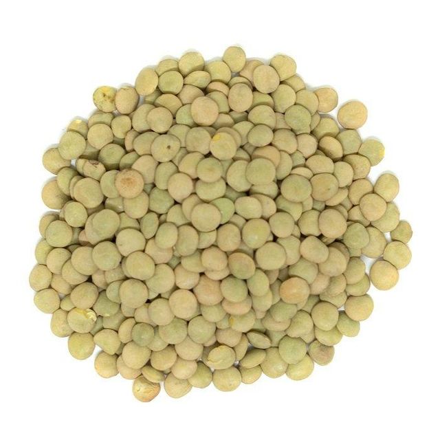 Wholesale Green Lentils with Clean Natural Texture Excellent Choice for Food Processing and Distribution - Image 1