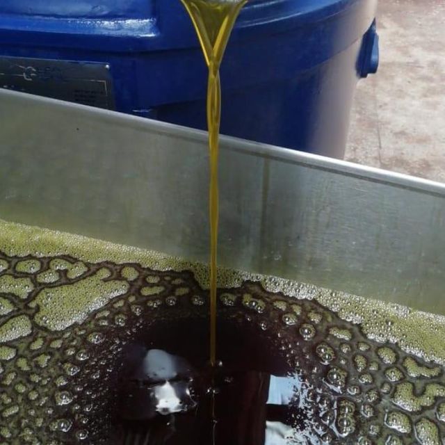 Avocado Oil - Image 1