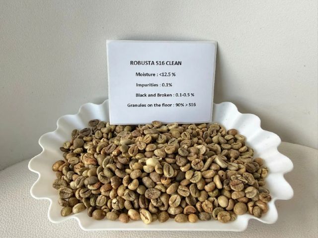 coffee Arabica - Robusta - Image 3