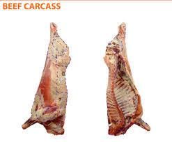 Super Organic Bulk-Packed Halal Beef Carcasses Freeze Dried Beef Tripe Food Grade LQF Process Including Fore Quarter. - Image 4